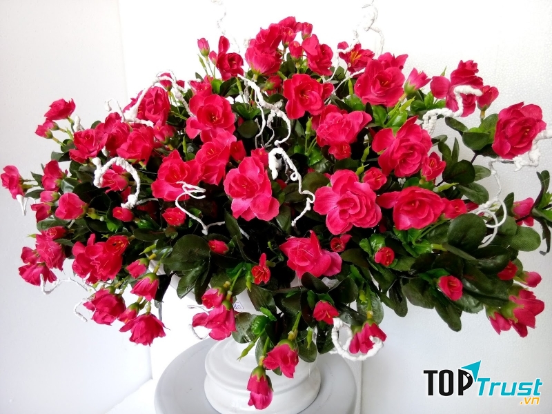 Hoa đỗ quyên được ưu ái trang trí trong nhà dịp lễ Tết (Nguồn: Sưu tầm)