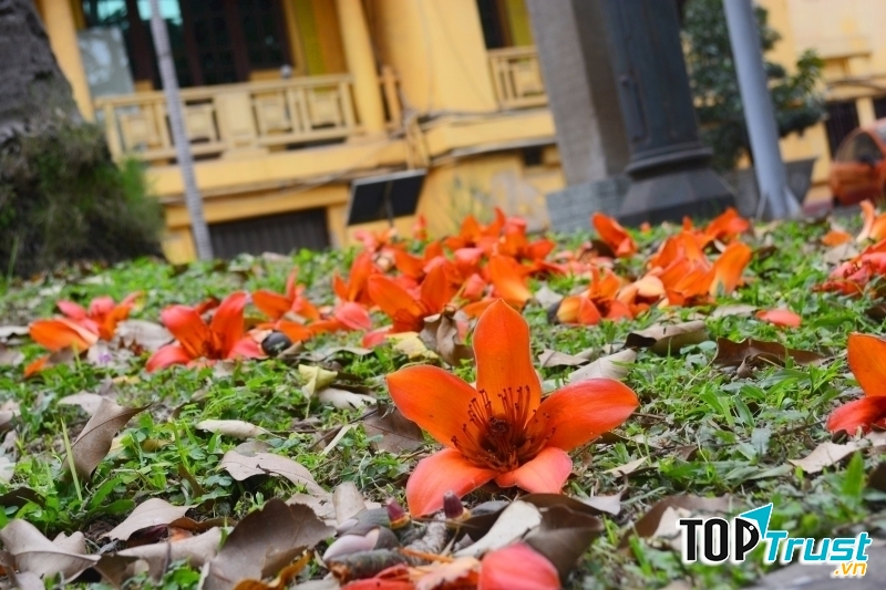 Ảnh minh họa (nguồn internet)