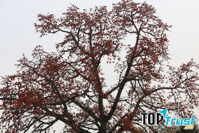 Ảnh minh họa (nguồn internet)