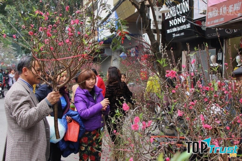 Hoa bán trên phố Hàng Lược