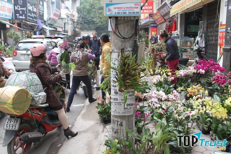 Đường Hoàng Hoa Thám vào ngày Tết