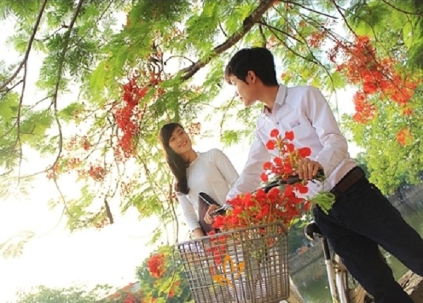 Đến giờ chơi, cậu học trò ngạc nhiên trông lên: hoa nở lúc nào mà bất ngờ vậy?