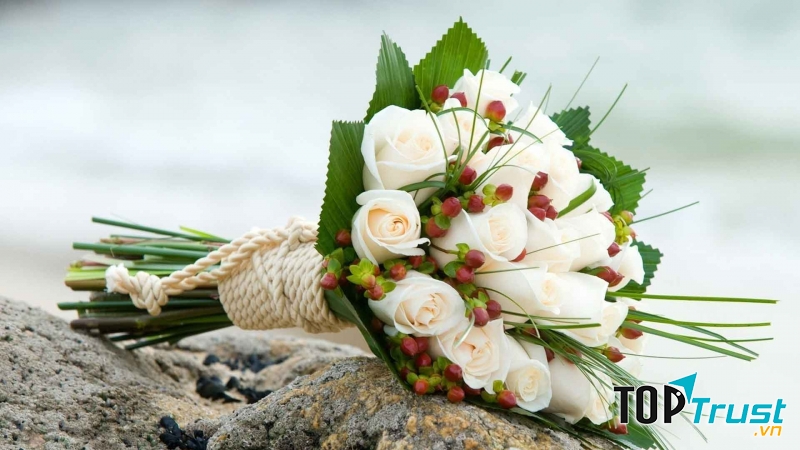 Hoa Hồng Và Tôi- hình ảnh minh họa