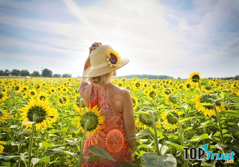 Ảnh minh họa - nguồn internet