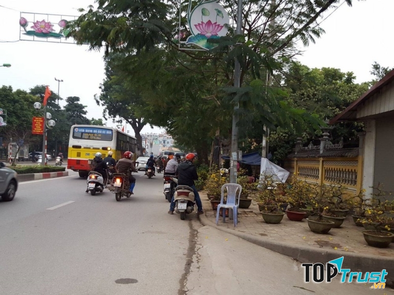 Điểm bán hoa ban ngày