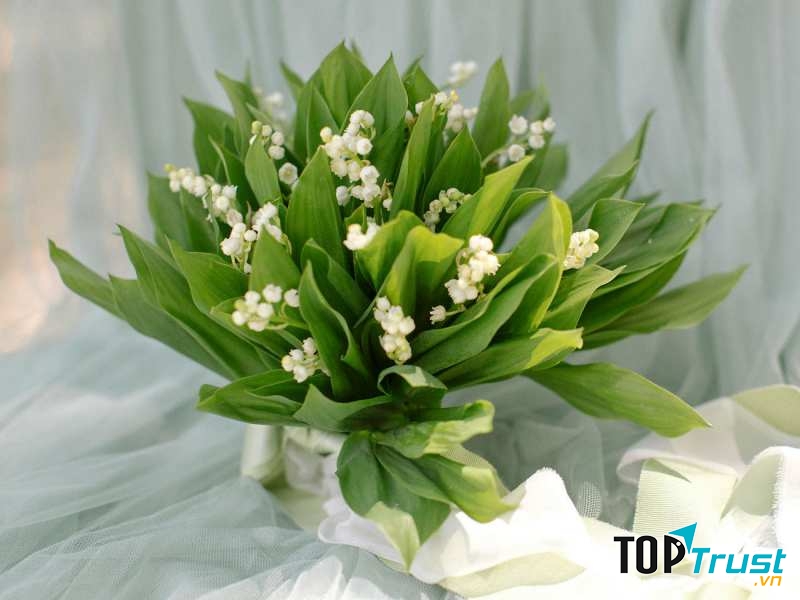 Ảnh minh họa - nguồn internet