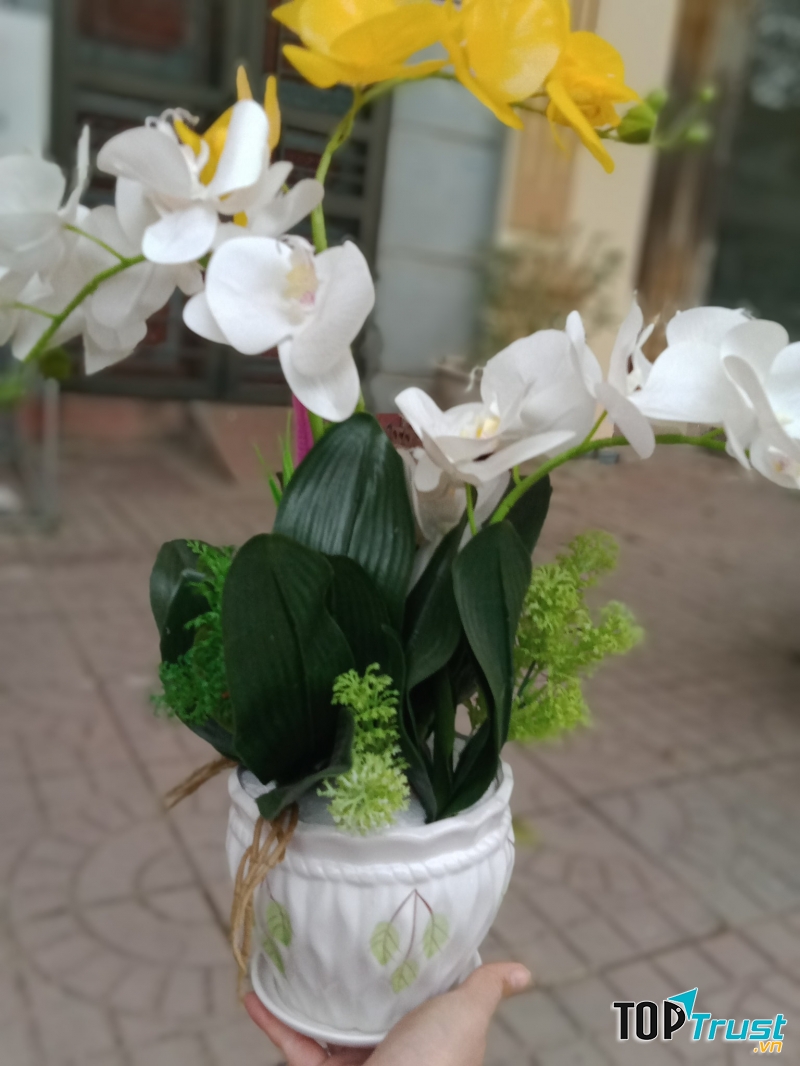 Hoa Lụa Huyền Chang