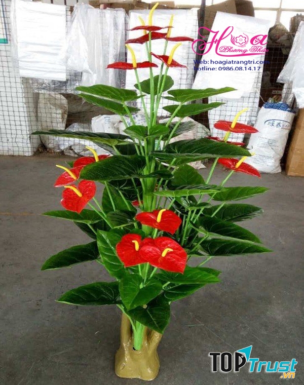 Hoa Lụa Phương Thảo