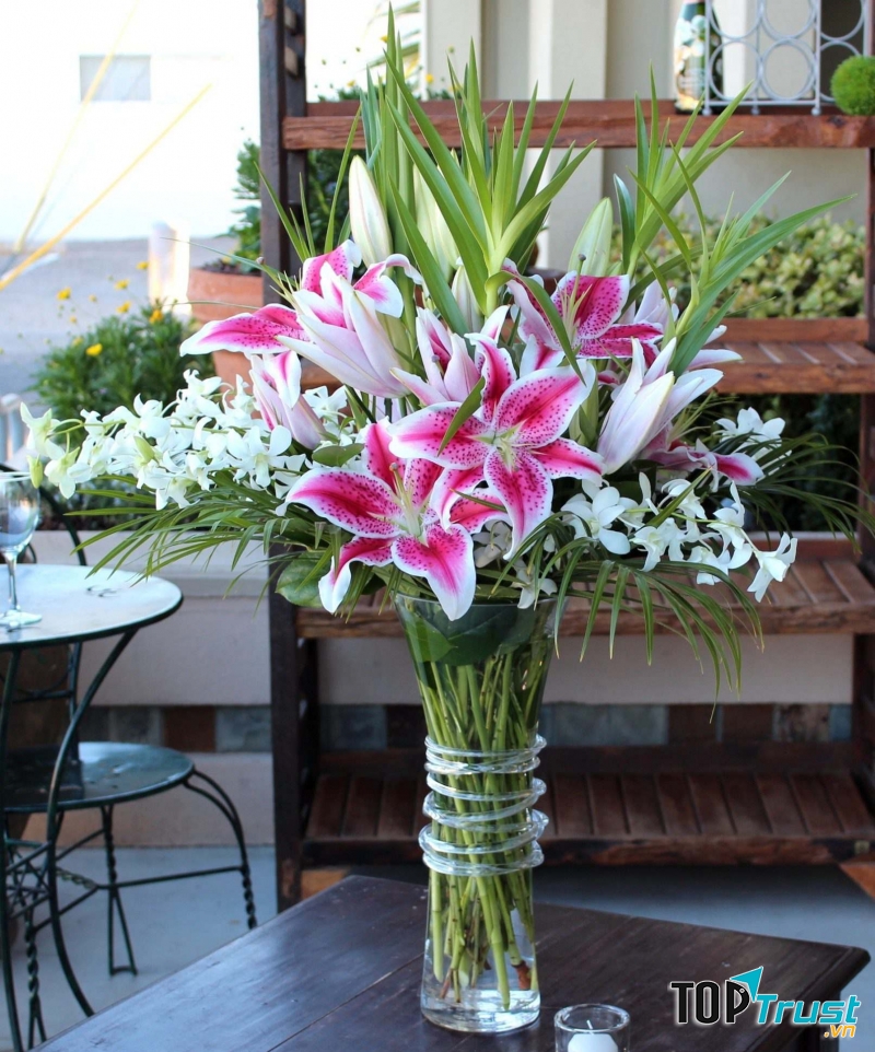 Ly hồng thích hợp để ở phòng khách