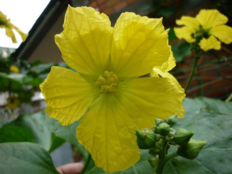 Ảnh minh họa - nguồn internet