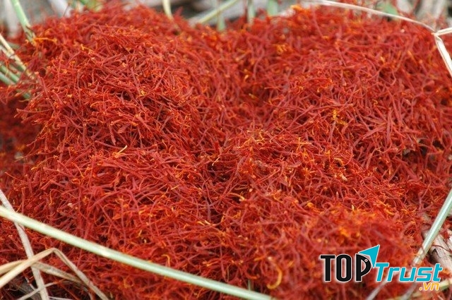 Hoa nghệ tây (Saffron)