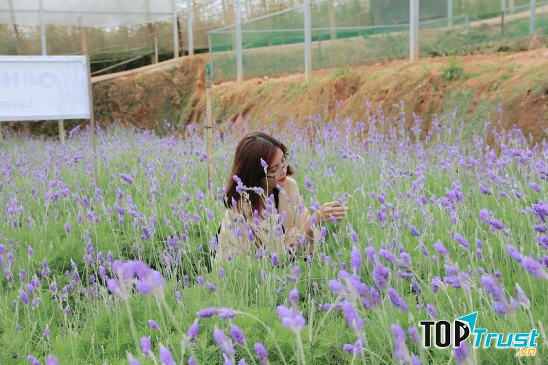 hông bị ảnh hưởng bởi những lời cay độc chính là một trong những tuyệt chiêu đối phó với những người ghét bạn.