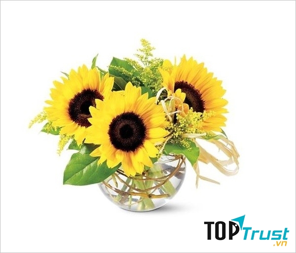 Hoa phong thủy cho ngày Tết: Hướng dương - mang lại nguồn năng lượng dồi dào cho bạn vào ngày đầu năm.