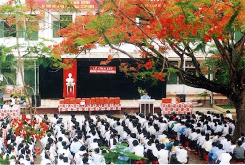 Hoa phượng như một người bạn vô hình, để lại những kỷ niệm thời áo trắng