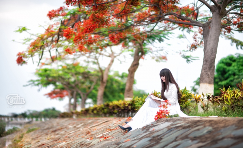 Phượng mong nhớ, chờ đợi để được gặp lại các bạn học sinh