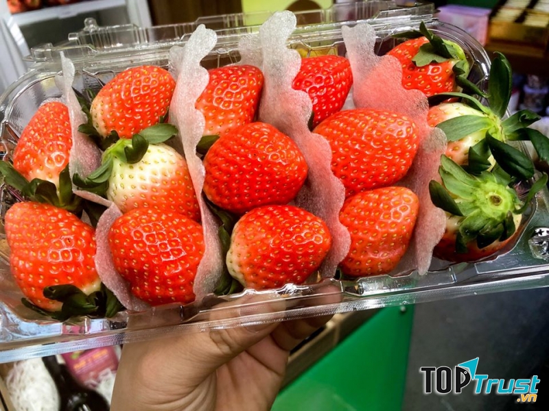 Hoa quả nhập khẩu sạch Biovegi