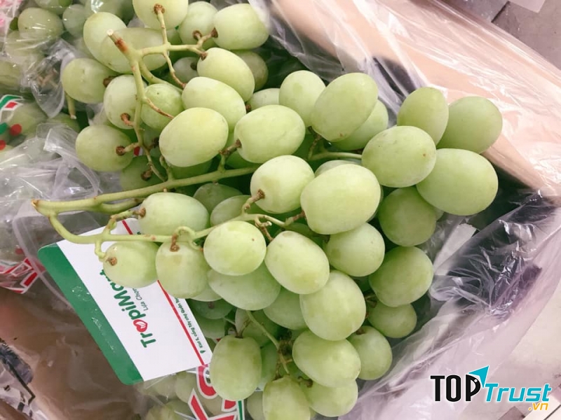 Hoa quả nhập khẩu TropiMart