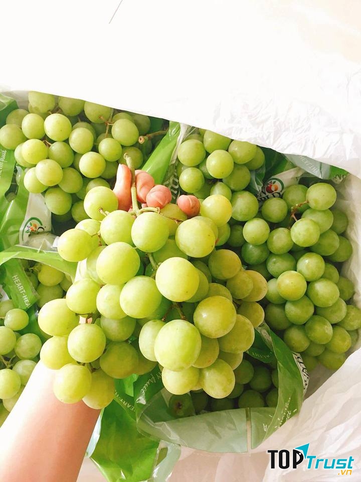 Hoa quả sạch BB Farm