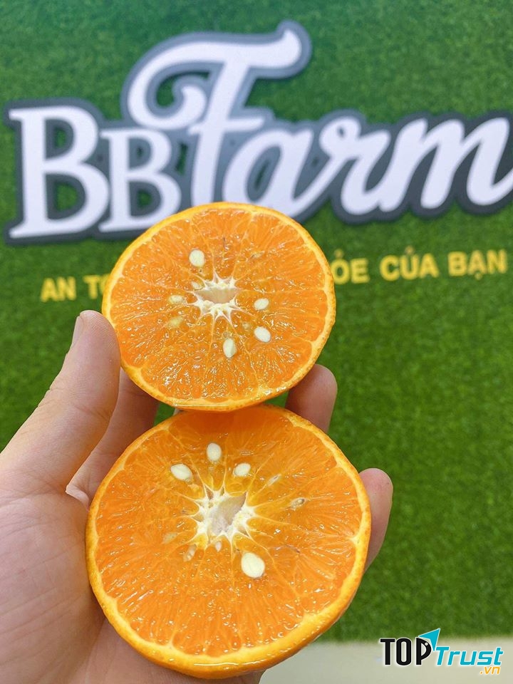 Hoa quả sạch BB Farm