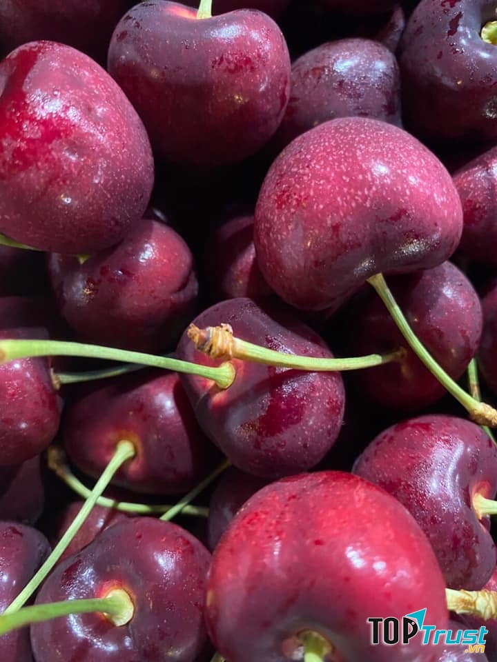 Hoa quả sạch Fruits 88