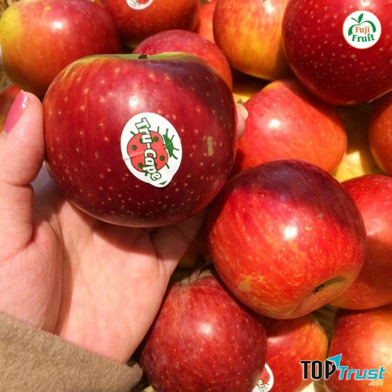 Hoa quả sạch tại Fuji