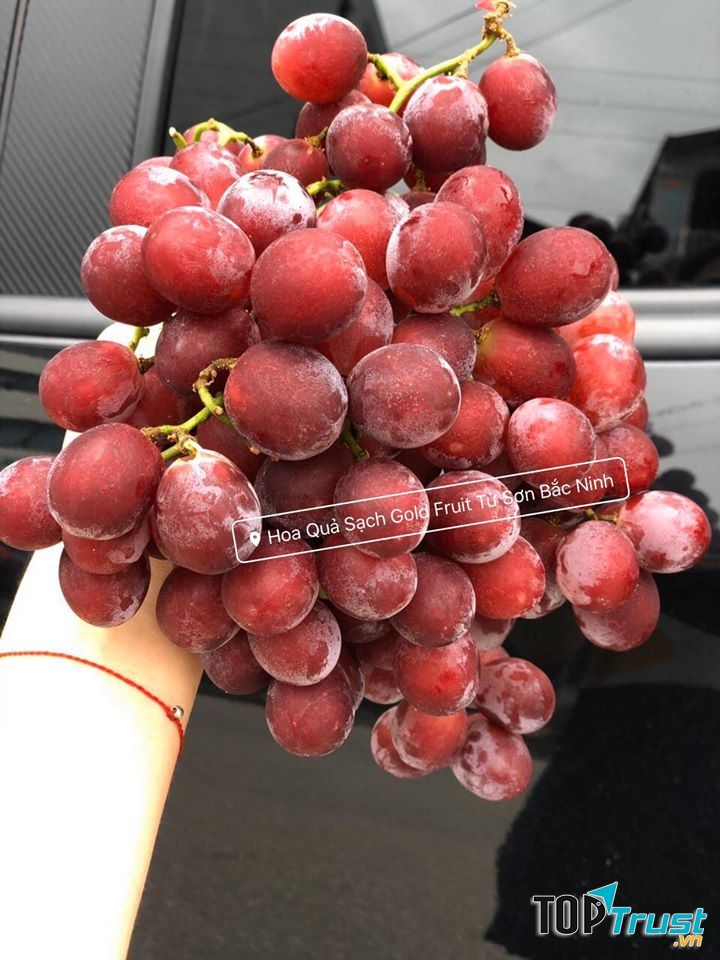 Hoa Quả Sạch Gold Fruit