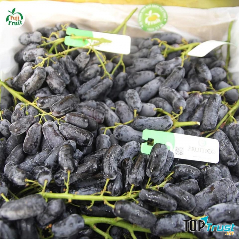 Hoa Quả Sạch Phổ Yên