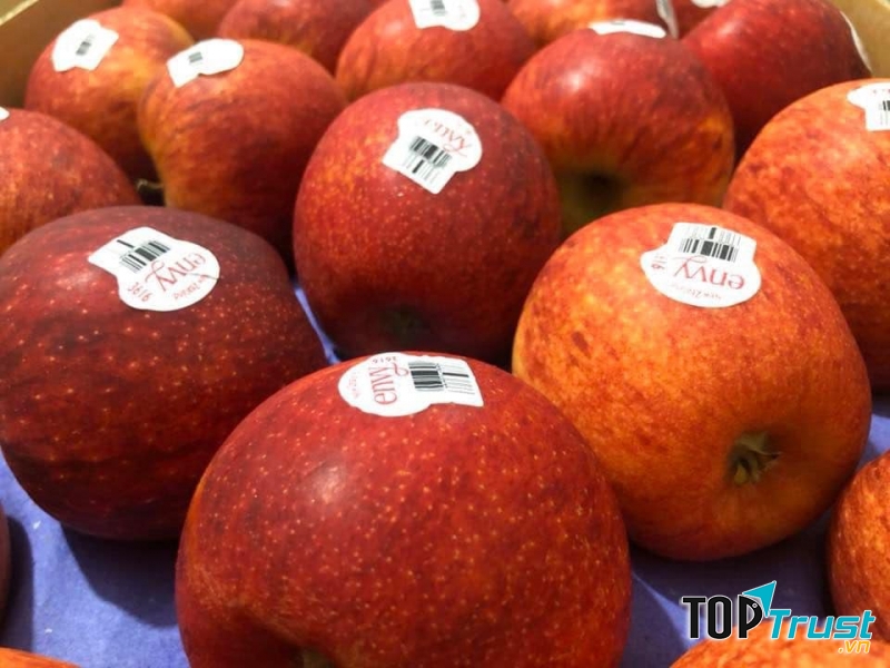 Hoa quả sạch vùng miền Oanh Thắng