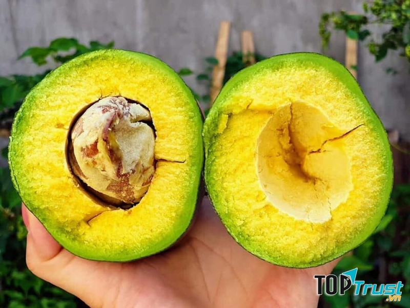 Hoa Quả Sạch Yên Phong