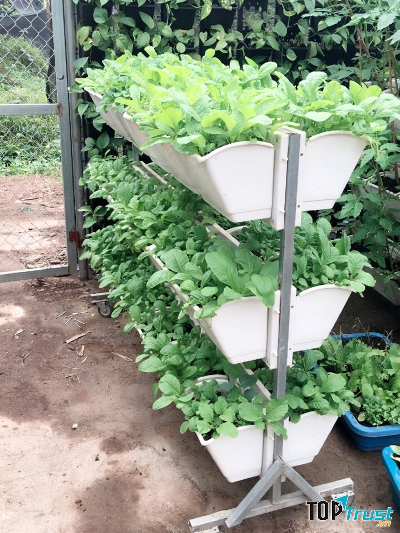 Sản phẩm của Hoa Sen Việt