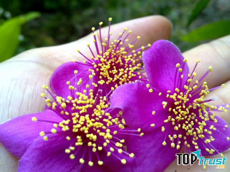 Anh yêu em và em là sự lựa chọn cuối cùng của anh trong cuộc đời này