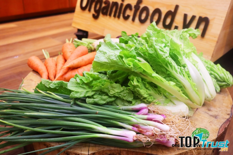 Hoa Sua Food (Organic Food.vn)