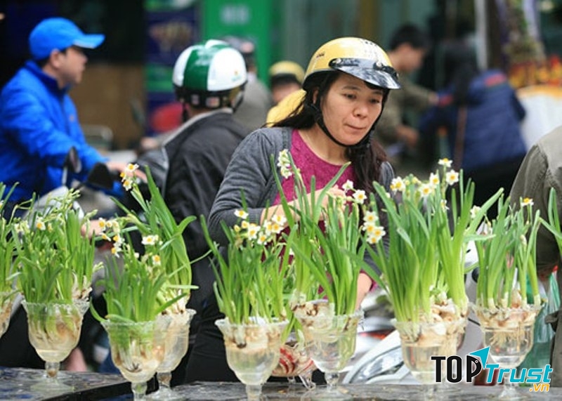 Bên cạnh vẻ đẹp kiêu sa, thủy tiên còn khử tà khí và đem đến an lành.