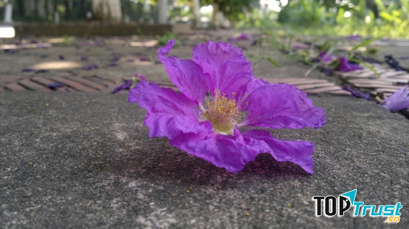 Ảnh minh họa (nguồn internet)