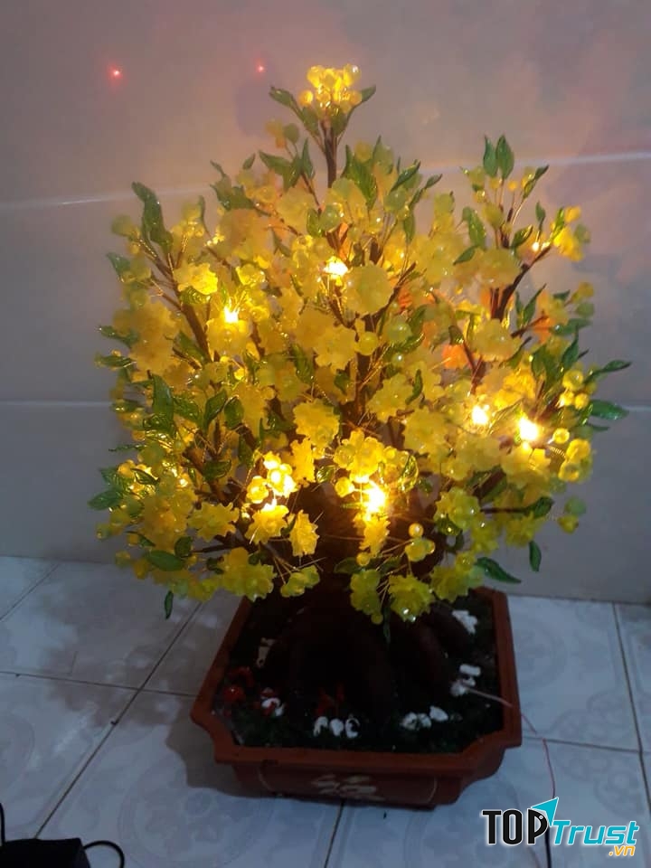 Hoa trang trí thành Vinh