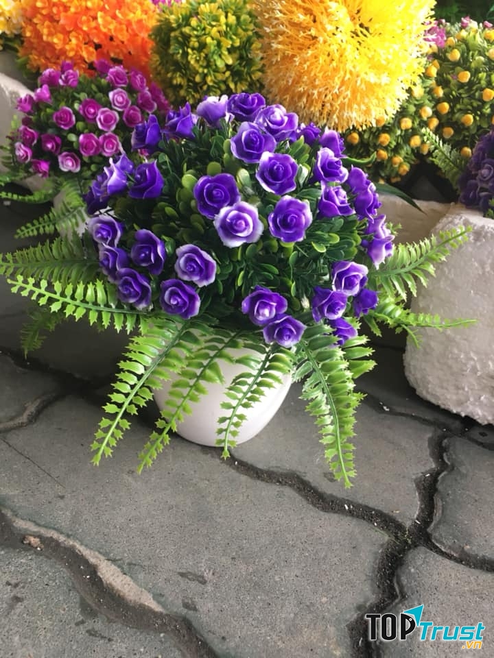 Hoa trang trí thành Vinh