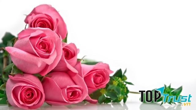 Hoa tươi ở Đà Lạt có giá cả rất phải chăng