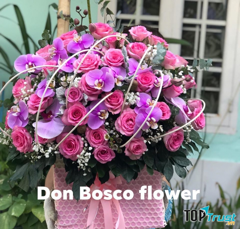 Sự phối màu tuyệt diệu