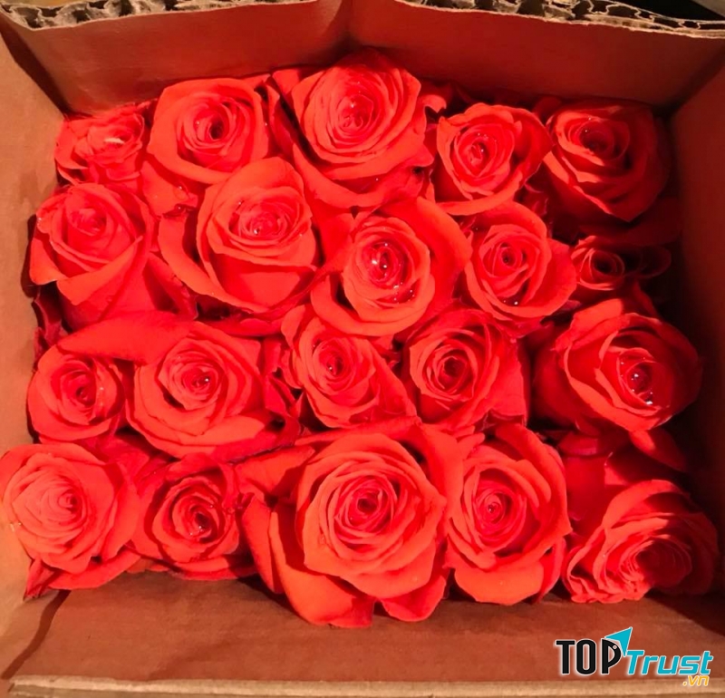 Hoa Tươi Khánh Dung