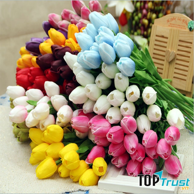 Hoa tulip với nhiều màu sắc rực rỡ