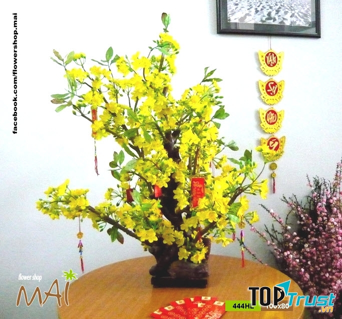 Hoa vải đẹp Mai