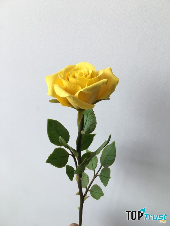 Sản phẩm khi đã hoàn thành