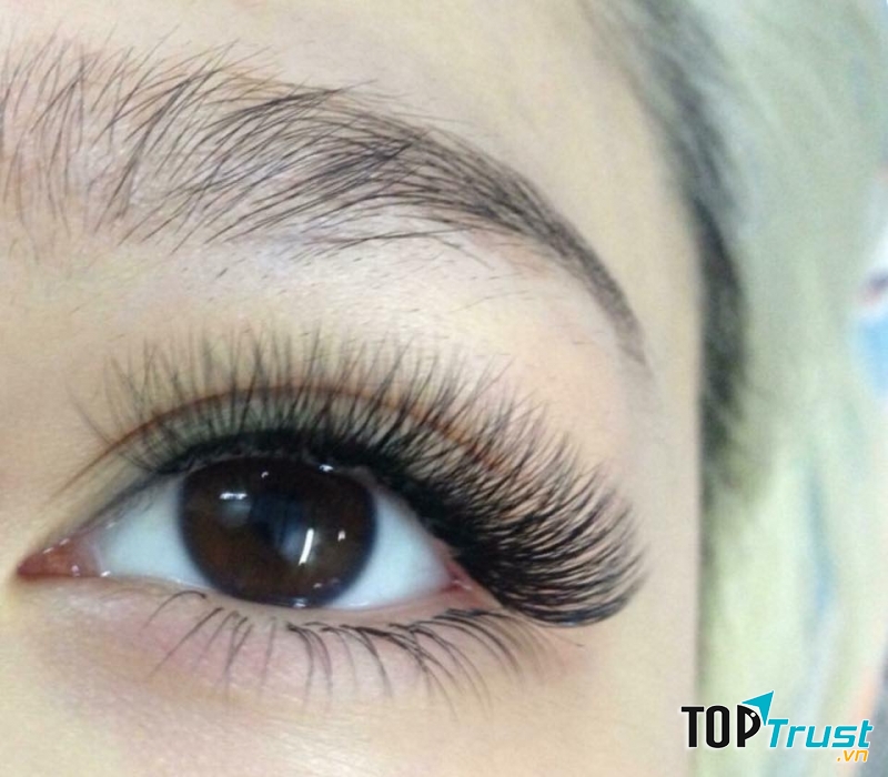 Hoàng Đẹp Nối Mi