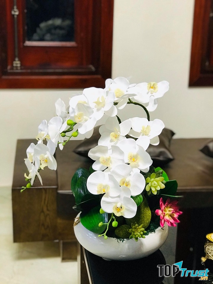 Hoàng Oanh Shop