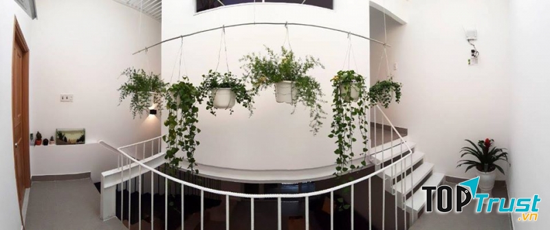 Thiết kế nổi bật của HOÀNG PHÚ Design & Construction