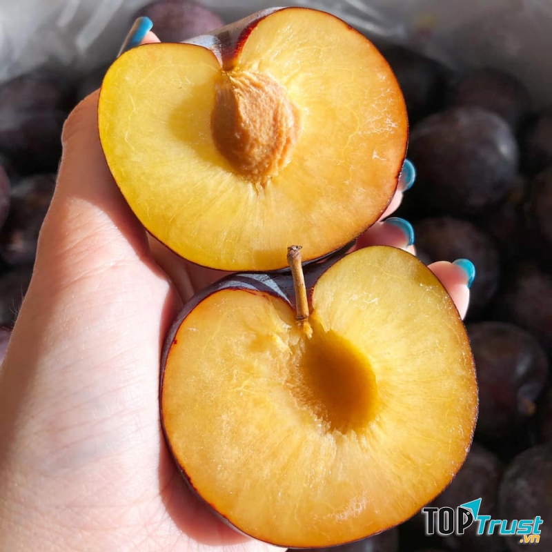 Hoàng Tuy - Trái cây sạch , chất lượng cao