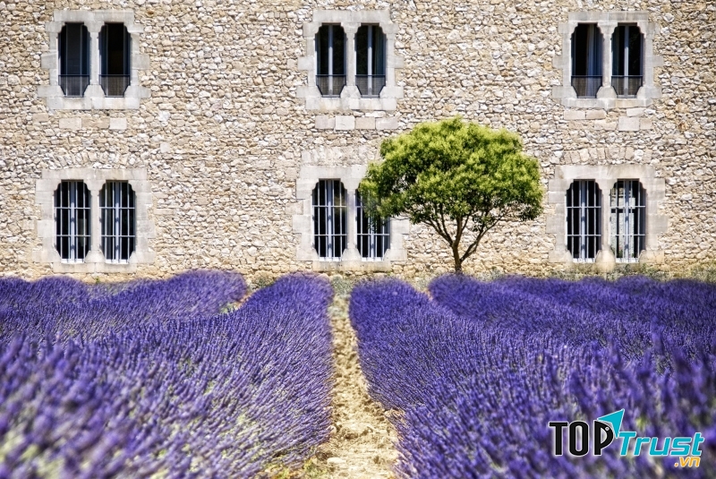 Học bổng thu hút sinh viên của từng vùng