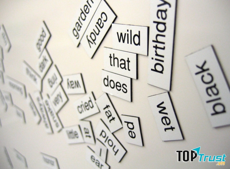 Học thêm 5 từ mới hàng ngày