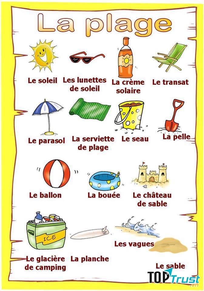 Ảnh minh họa từ vựng