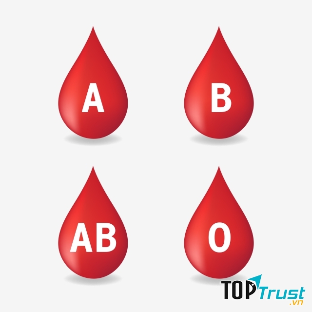 Các nhóm máu.